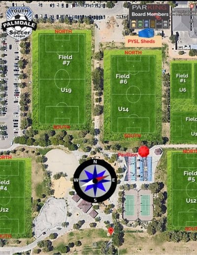 Dominc Massari Park - 24-25 Season
